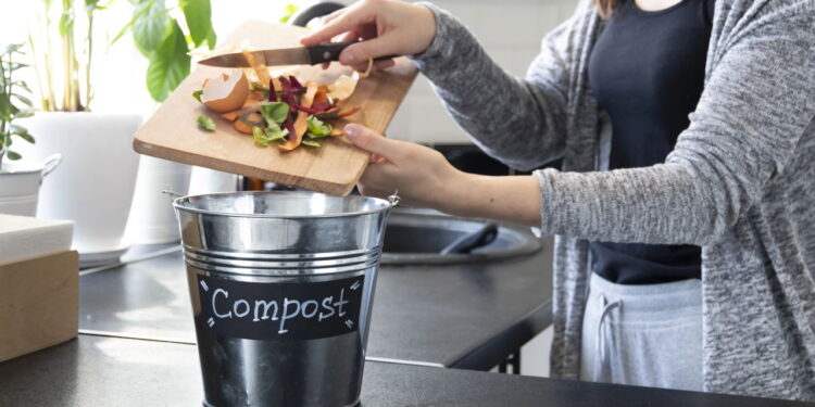 Como fazer fertilizante natural com restos de comida: guia passo a passo