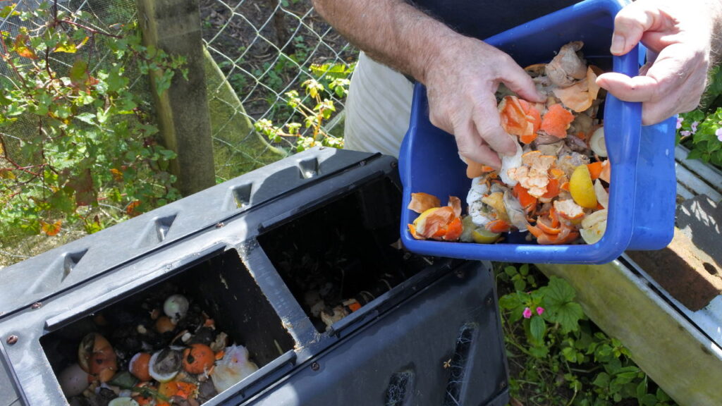 Como fazer fertilizante natural com restos de comida: guia passo a passo