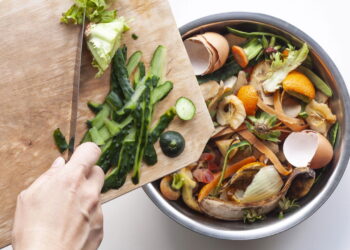Como reaproveitar restos da cozinha para adubar suas plantas