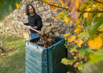 Passo a passo para montar sua própria composteira