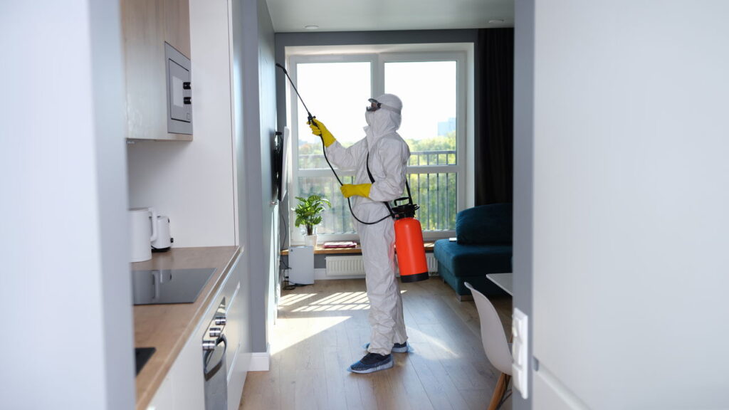 Três sinais de que seus móveis estão sendo atacados por cupins