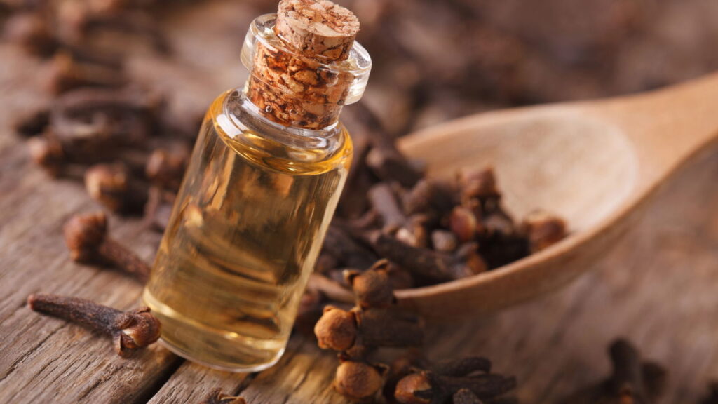 Quatro aromas que manterão os roedores longe da sua casa durante os meses quentes