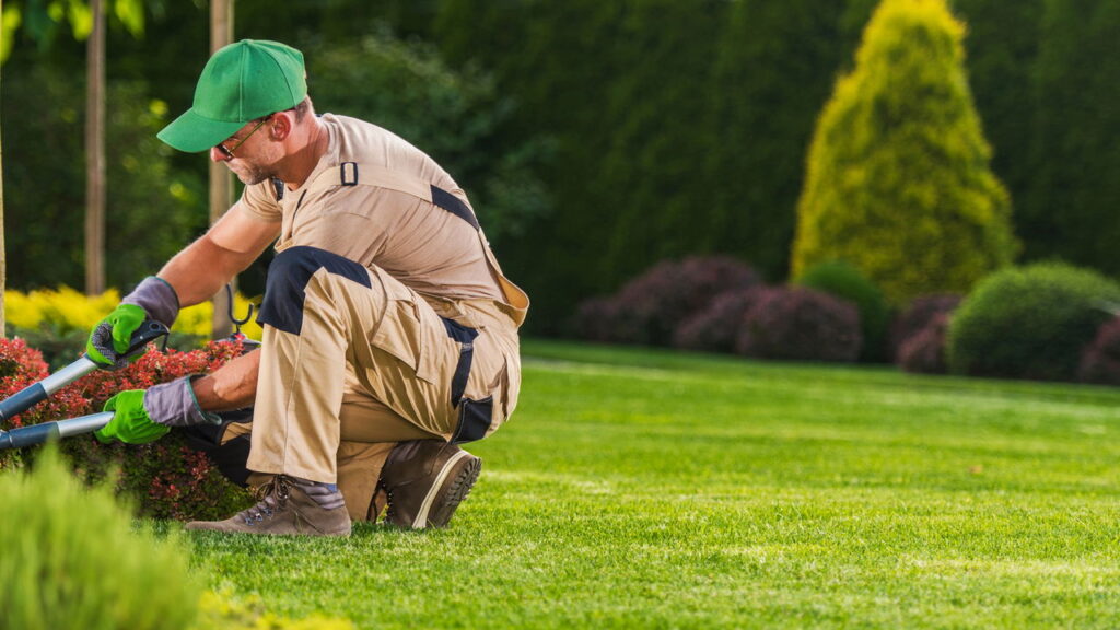 O passo a passo ideal para quem está começando a jardinar