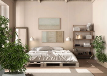 As plantas mais populares para decoração de interiores em 2025