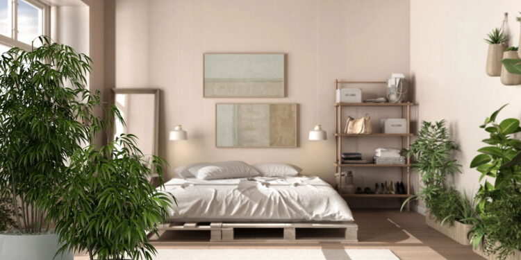 As plantas mais populares para decoração de interiores em 2025