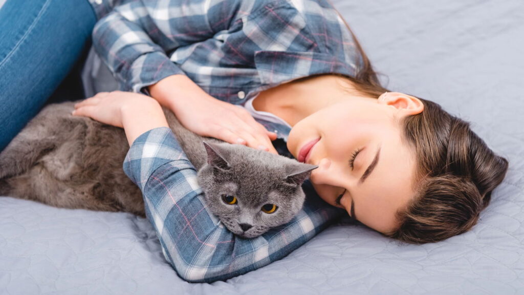 Você deve dividir a cama com seu cachorro ou gato?