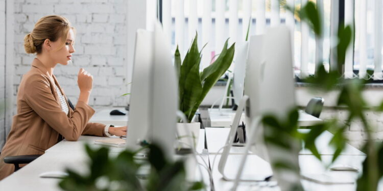 5 plantas elegantes e de baixa manutenção para ter em seu escritório