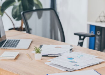 As plantas minimalistas que viraram tendência em escritórios