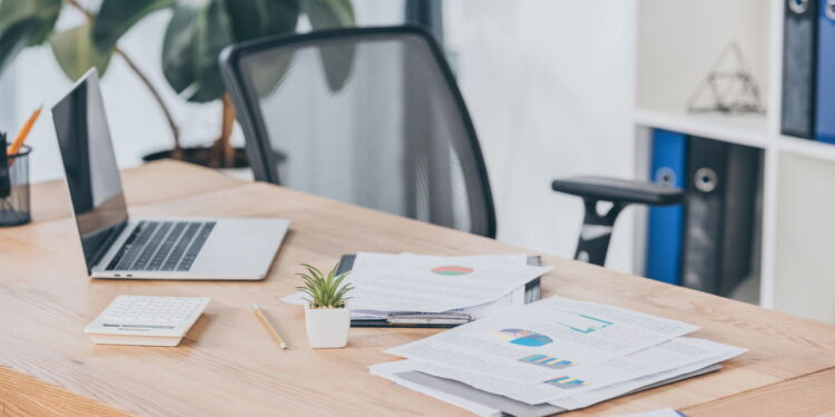 As plantas minimalistas que viraram tendência em escritórios