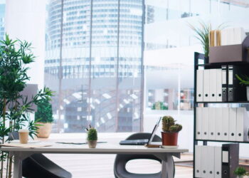 As 3 plantas que todo mundo quer na mesa de trabalho