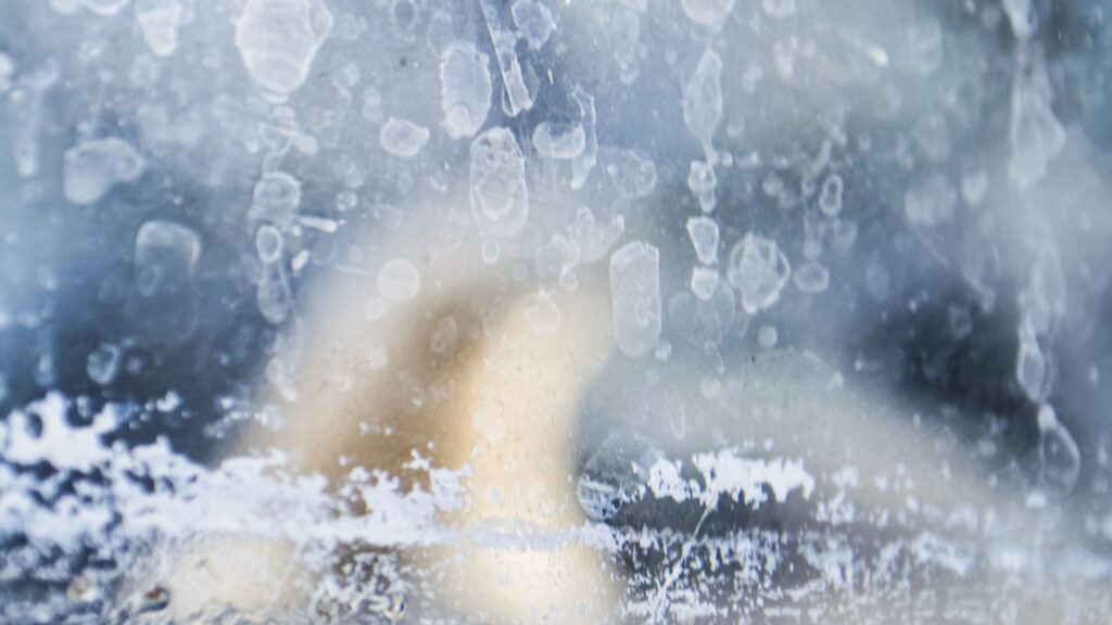 Limpeza ecológica com bicarbonato, vinagre e limão surpreende na prática