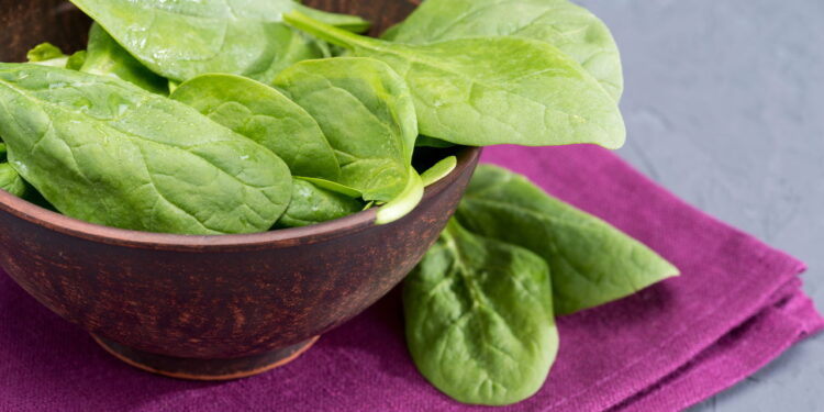 Como plantar espinafre em casa de forma simples e rápida