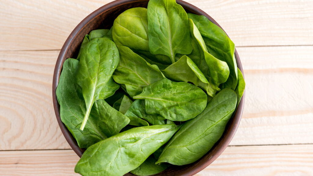 Com benefícios incríveis essa planta pode estar no seu jardim com essas dicas!