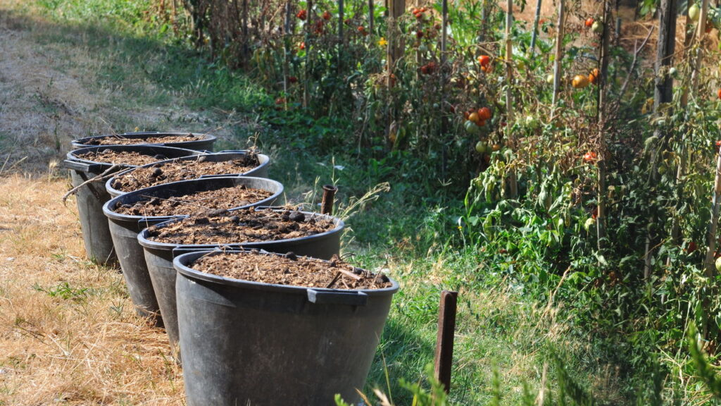 O melhor adubo orgânico para deixar seu jardim mais verde e saudável