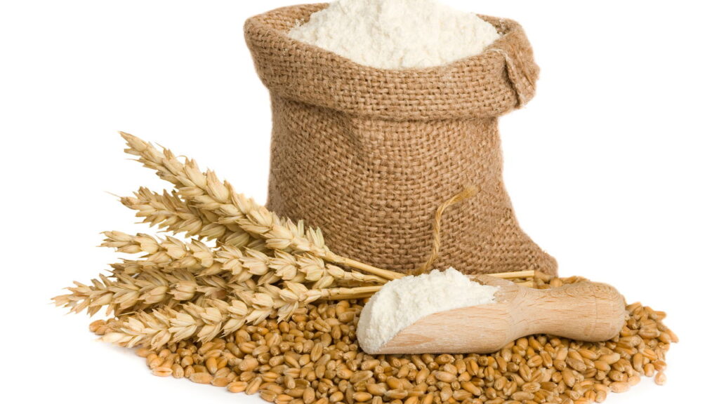 Como afastar a lagarta-do-cartucho das suas plantas naturalmente