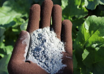 Fertilizante orgânico que enriquece o solo com nutrientes essenciais