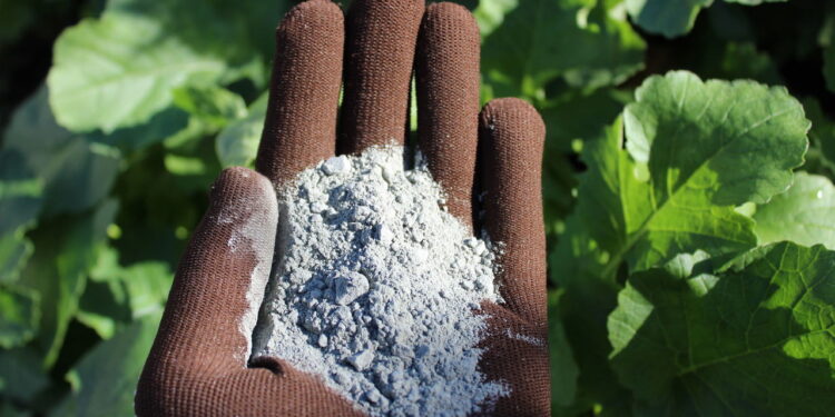 Fertilizante orgânico que enriquece o solo com nutrientes essenciais