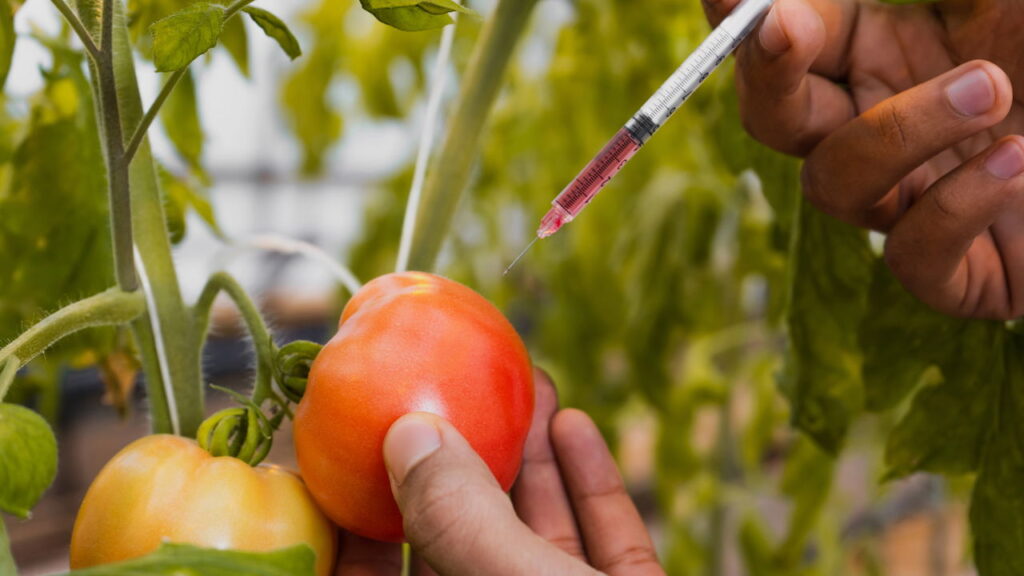 Fertilizante natural vs químico: qual deixa a planta mais saudável?