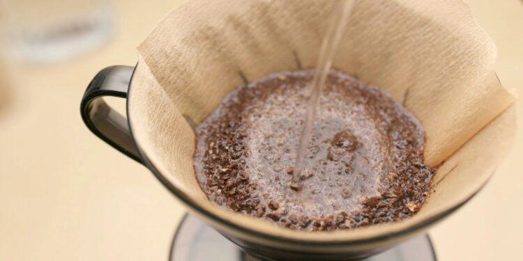 Pó de café usado virou aliado das casas brasileiras contra odores