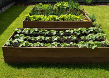 Esta ideia simples pode cortar seus gastos com temperos pela metade