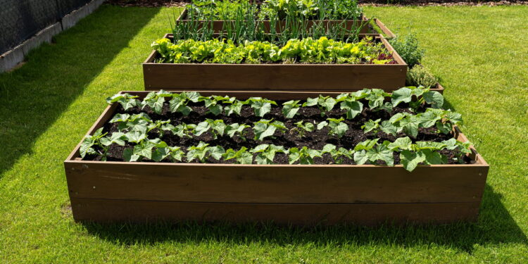 Esta ideia simples pode cortar seus gastos com temperos pela metade