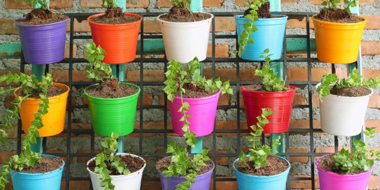 Como montar um jardim comestível que decora e alimenta