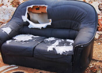 Você pode estar dividindo seus móveis com essas pragas invisíveis