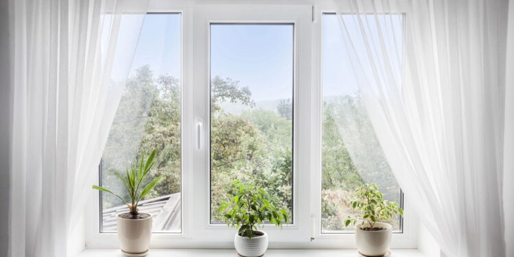 Coloquei isso na janela e os bichos sumiram em poucos dias