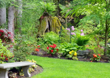 As 3 plantas com flores coloridas que estão em alta