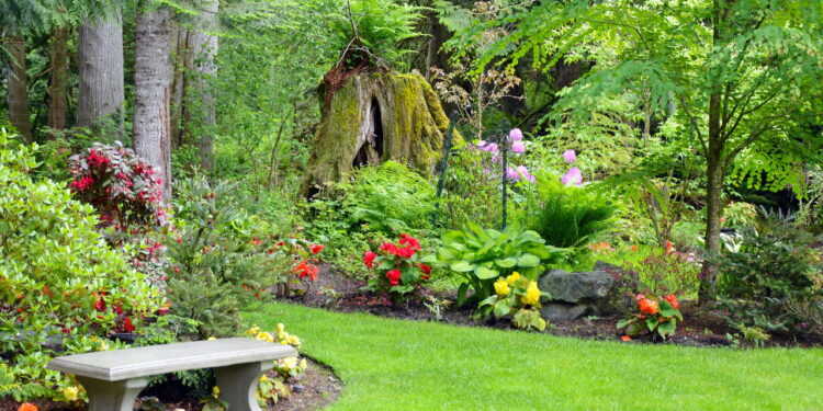 As 3 plantas com flores coloridas que estão em alta