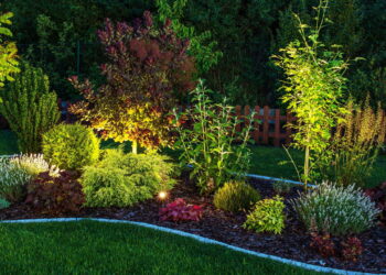 Esse é o fertilizante natural mais poderoso e barato para o jardim