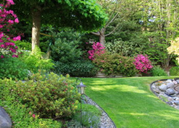 As plantas para ter no jardim de casa que florescem o ano inteiro