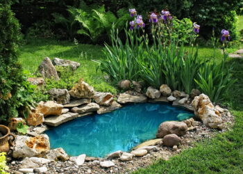 5 plantas para o seu jardim para um controle de pragas natural