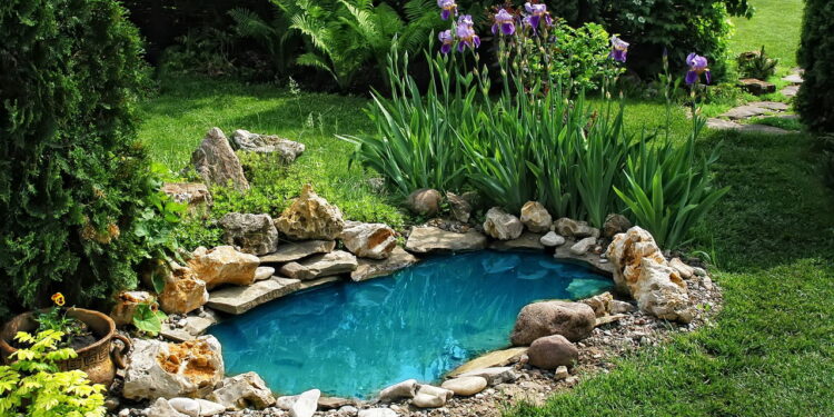 5 plantas para o seu jardim para um controle de pragas natural