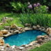 5 plantas para o seu jardim para um controle de pragas natural