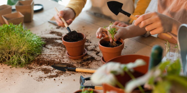 Métodos da jardinagem para fazer suas plantas crescerem mais rápido e saudáveis