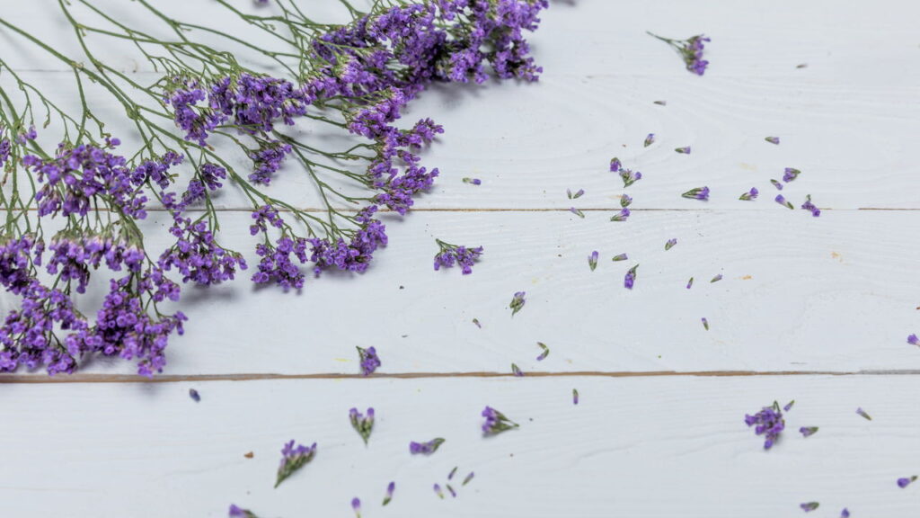 Essa é a planta medicinal mais poderosa para ansiedade e para o sono