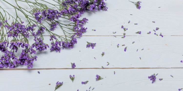 Essa é a planta medicinal mais poderosa para ansiedade e para o sono