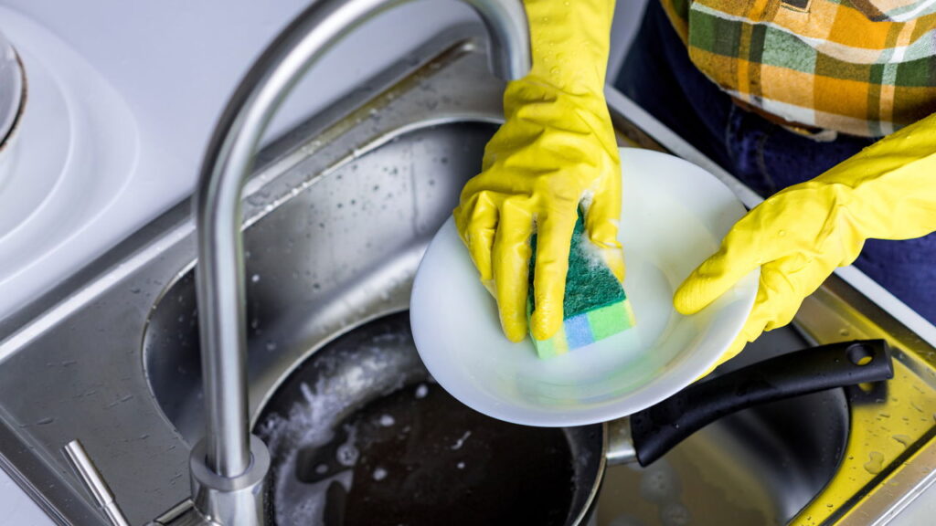 Por que deixar louça suja à noite atrai tantas pragas?