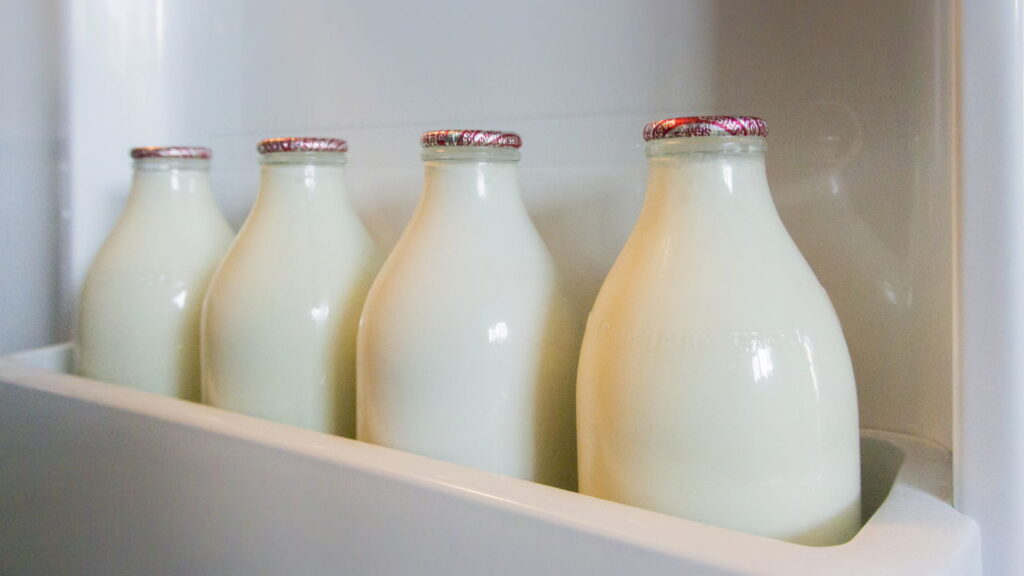 Esse é o fertilizante natural mais poderoso e barato para o jardim