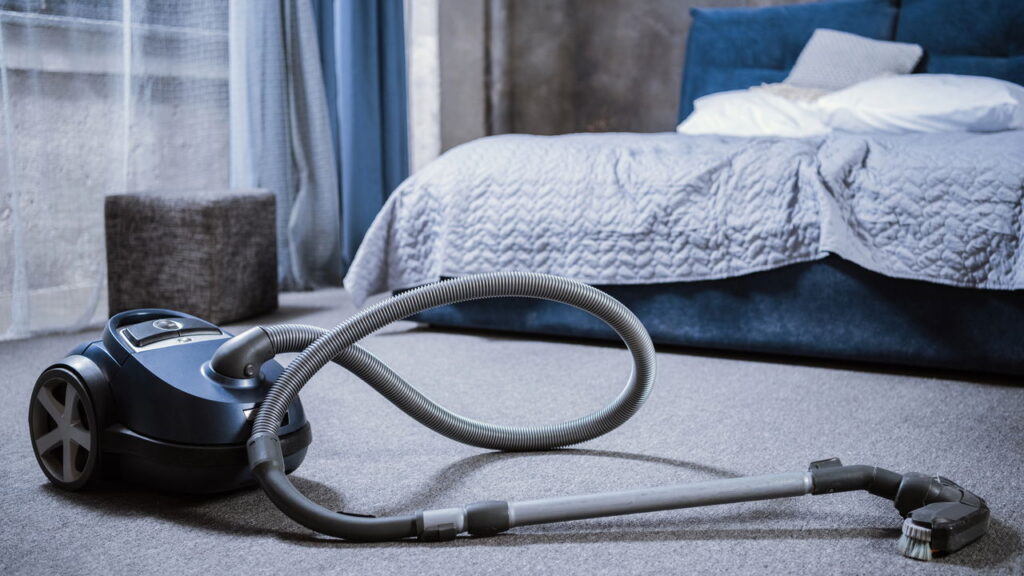 Como se livrar dos percevejos-de-cama eficientemente e sem produtos químicos