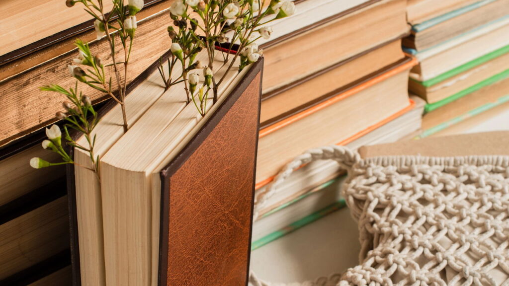 O melhor jeito de montar um cantinho de leitura acolhedor em casa