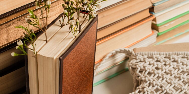 O melhor jeito de montar um cantinho de leitura acolhedor em casa