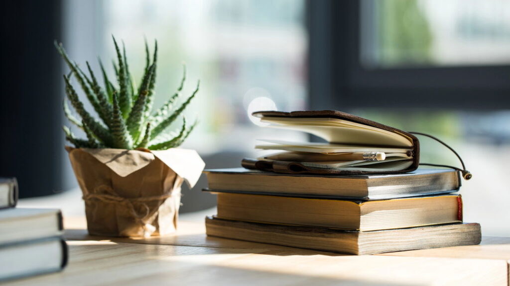 Reaproveite livros antigos como suporte para plantas e decoração