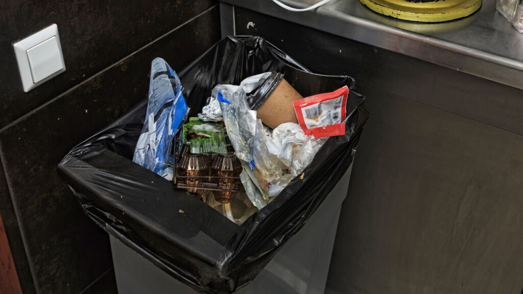 As plantas mais eficazes para espantar moscas da lixeira com zero veneno