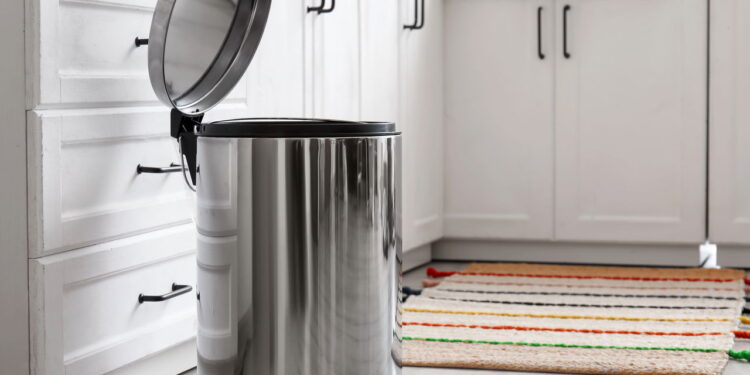 Como acabar com as larvas que aparecem em restos de lixo da cozinha