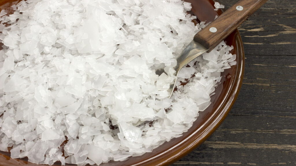 Começe a fertilizar suas rosas do jeito certo