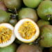 Fruta popular mundialmente beneficia a saúde e cresce rapidamente!