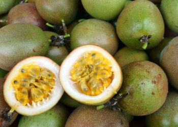 Fruta conhecida pelo sabor exótico é muito valorizado em hortas caseiras