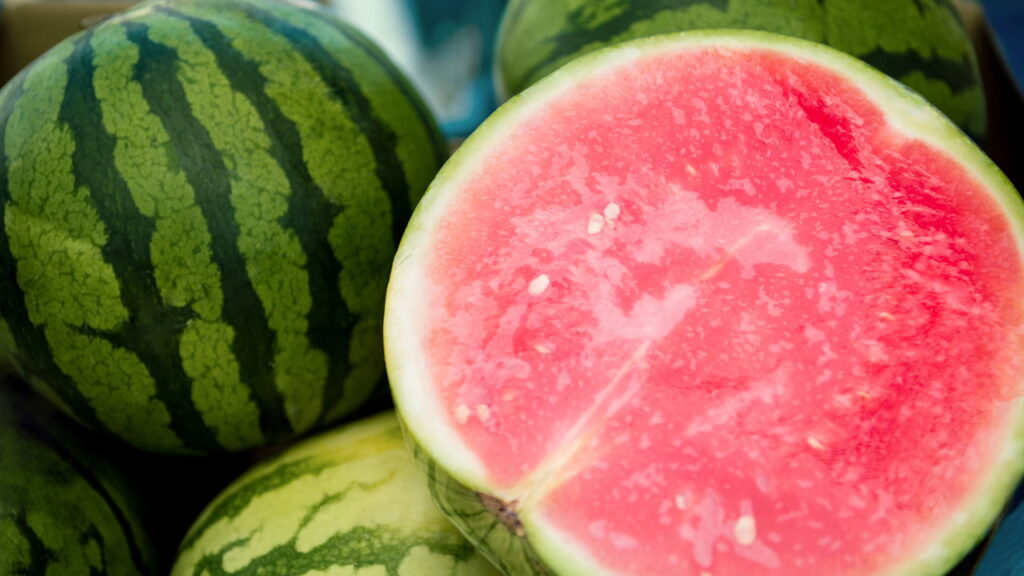 Com este guia rápido você pode ter uma produção excelente dessa fruta refrescante!